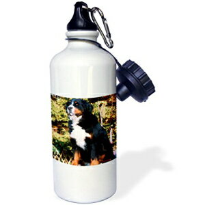 3dRose wb_883_1 o[j[Y }Ee hbO X|[c EH[^[ {gA21 IXAzCg 3dRose wb_883_1 Bernese Mountain Dog Sports Water Bottle, 21 oz, White