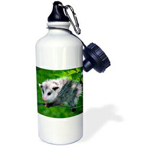 3dRose wb_1009_1 I|bT X|[c EH[^[ {gA21 IXAzCg 3dRose wb_1009_1 Opossum Sports Water Bottle, 21 oz, White