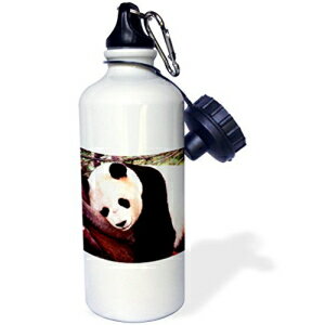 3dRose wb_516_1 Polar Bear and Cub X|[c EH[^[{gA21 IXAzCg 3dRose wb_516_1 Polar Bear and Cub Sports Water Bottle, 21 oz, White