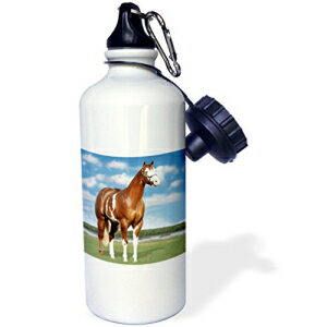 3dRose wb_3536_1 `sI yCg NH[^[ z[X X|[c EH[^[ {gA21 IXAzCg 3dRose wb_3536_1 Champion t Quarter Horse Sports Water Bottle, 21 oz, White