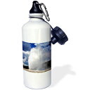 3dRose wb_17311_1カマキリスポーツウォーターボトル、21オンス、ホワイト 3dRose wb_17311_1 Praying Mantis Sports Water Bottle, 21 oz, White