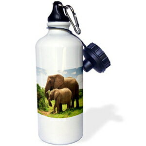 3dRose wb_44878_1 킢bhhԃX|[cEH[^[{gA21 IXAzCg 3dRose wb_44878_1 Cute Red Fire Truck Sports Water Bottle, 21 oz, White