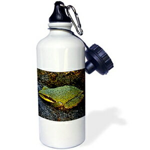 3dRose wb_171488_1 CN ^z X|[c EH[^[ {gA21 IXA}`J[ 3dRose wb_171488_1 Lake Tahoe Sports Water Bottle, 21Oz, Multicolored