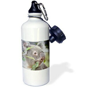 3dRose wb_178504_1 Rh hS bLO Cg X|[c EH[^[ {gA21 IXA}`J[ 3dRose wb_178504_1 Komodo Dragon Looking Right Sports Water Bottle, 21 oz, Multicolor