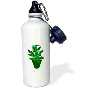 3dRose |bgAO[e[}̐AX|[cEH[^[{gA21 IX (wb_175656_1)A21 IXA}`J[ 3dRose Pot with Green Themed Plant-Sports Water Bottle, 21oz (wb_175656_1), 21 oz, Multicolor