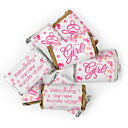 It's a Girl ベビーシャワー キャンディ ハーシー ミニチュア チョコレート 2ポンド - 約108個 It's a Girl Baby Shower Candy Hershey's Miniatures Chocolate 2lb - Approx 108 pieces