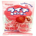 tLfB[AC`A4.5 IXpbP[W (12 pbN) Kasugai Candy, Litchi, 4.5-Ounce Packages (Pack of 12)