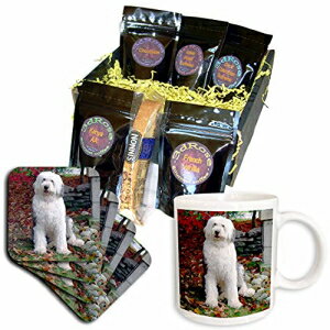 3dRose オールド イングリッシュ シープドッグ コーヒー ギフト バスケット、マルチ 3dRose Old English Sheepdog Coffee Gift Basket, Multi