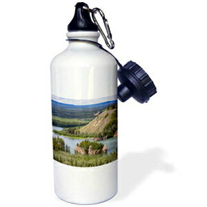 3dRose EH[^[{gA21IXAzCg 3dRose Water Bottle, 21oz, White