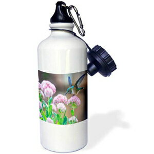 3dRose EH[^[{gA21IXAzCg 3dRose Water Bottle, 21oz, White