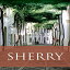 洋書 Paperback, Sherry (Classic Wine Library)