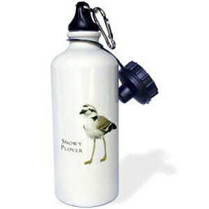 3dRose wb_51597_1「Snowy Plover Shorebird」スポーツウォーターボトル 21オンス ホワイト 3dRose wb_51597_1 Snowy Plover Shorebird Sports Water Bottle, 21 oz, White