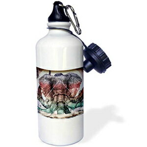 3dRose EH[^[{gA21IXAzCg 3dRose Water Bottle, 21oz, White