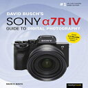 洋書 Paperback, David Busch's Sony Alpha a7R I