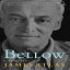 ν Paperback, Bellow: A Biography (Modern Library)