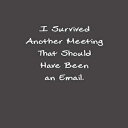 洋書 Paperback, I Survived Another Meeting That Should Have Been An Email: Funny O...