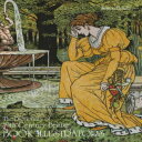 洋書 Hardcover, The Dictionary of 19th Century British Book Illustrators and Caric...