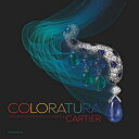 洋書 FLAMMARION Hardcover, Coloratura: High Jewelry and Precious Objects by Cartier (Langue anglaise)