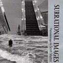 洋書 University of Illinois Press Hardcover, Surrational Images: PHOTOMONTAGES(3)