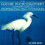 洋書 Paperback, The Nature Photographer's Complete Guide to Professional Field Techniques(3)
