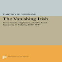 洋書 Princeton University Press Paperback, The Vanishing Irish: Households, Migrat...