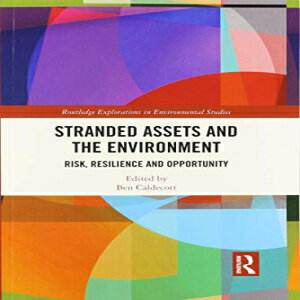 洋書 Routledge Paperback, Stranded Assets and the Environment: Risk, Resilience and Opportunity