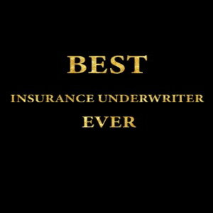 洋書 Best Insurance Underwriter Ever: Lined Notebook, Gold Letters Cover, Diary, Journal, 6 x 9 in., 110 Lined Pages