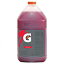 졼 - 33977 ḁ̊́ե롼ĥݥ768  (4 ĥѥå) Gatorade - 33977 Concentrate Fruit Punch, 768 Ounce (Pack of 4)