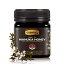 ComvitaǧUMF5 +MGO 83+ޥ̥ϥˡ| ˥塼ɤΡ1ޥ̥֥| Ȥߴϥ顼롢| ץߥ॰졼ɡ8.8󥹡 Comvita Certified UMF 5+ (MGO 83+) Raw Manuka Honey | New Zealands #1 Manuka