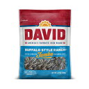 DAVID [XgXpCV[ Queso W{ q}̎APgth[A5.25 IXA12 pbN DAVID Roasted and Salted Spicy Queso Jumbo Sunflower Seeds, Keto Friendly, 5.25 oz, 12 Pack