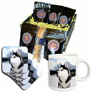 3dRose シベリアン ハスキー コーヒー ギフト バスケット、マルチ 3dRose Siberian Husky Coffee Gift Basket, Multi