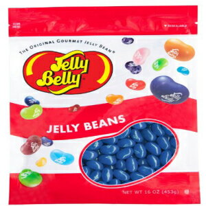 Jelly Belly ブルーベリー ジェリー ビーンズ - 1 ポンド (16 オンス) 再密封可能なバッグ - 本物、公式、供給源から直接 Jelly Belly Blueberry Jelly Beans - 1 Pound (16 Ounces) Resealable Bag - Genuine, Official, Straight from