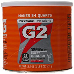 Gatorade Perform G2 02 Perform γ餭᤹󥹥 ѥ ե롼 ѥ ɥ 19.4  (1) Gatorade Perform G2 02 Perform Thirst Quencher Instant Powder Fruit Pun...