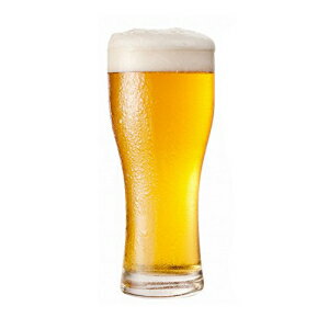 チェコ ピルスナー ラガー 自家製ビール レシピ材料キット CZECH PILSNER LAGER Home Brew Beer Recipe Ingredient Kit