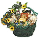 スナックギフトミディアムヒマワリディライトグルメトリートギフトバスケット Snack Baskets Snack Gift Medium Sunflower Delights Go..