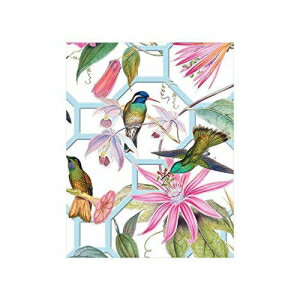 Caspari n~Oo[h gX MtgJ[h - t 20  Caspari Hummingbird Trellis Gift Enclosure Cards - 20 with Envelopes