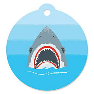 Big Dot of Happiness Shark Zone - Jawsome Shark Party or Birthday Party Favor Gift Tags (Set of 20)