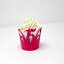 ܺ٤Τ٤15åץåѡ12ġʥեԥ󥯡 All About Details 15 Cupcake Wrappers,12pcs (Taffy Pink)