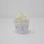 ܺ٤Τ٤15åץåѡ12ġ All About Details 15 Cupcake Wrappers,12pcs (White)