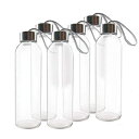 Teikis（6パック）ガラス製ウォーターボトル18オンスステンレススチールキャップ付き Teikis (6-Pack) Glass Water Bottles 18oz with Stainless Steel Cap