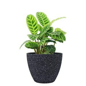 AؔOv^[-rt8.6C`v^[|bgA_ȐAؔA_- LA JOLIE MUSE Flower Pots Indoor Outdoor Planter - 8.6 Inch Planter Pot with Drainage, Modern Plant Pot, Speckled-Black