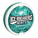 1.5 オンス (16 個パック)、ウィンターグリーン、ICE BREAKERS ミント ウィンターグリーン、シュガーフリー、1.5 オンス缶 (16 個パック) 1.5 Ounce (Pack of 16), Wintergreen, ICE BREAKERS Mints Wintergreen, Sugar Free, 1.5-Ounce Ti