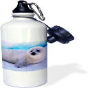 3dRose ȥѡϡץ Pup-Cn14 Gje0030-Gavriel Jecan ݡ  ܥȥ롢21 󥹡ۥ磻 3dRose Gulf of St Lawrence, Harp Seal Pup-Cn14 Gje0030-Gavriel Jecan Sports Water Bottle, 21 oz, White