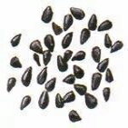 カロンジ (オニオンシード/ニゲラ/ブラックシード) 14オンス Kalonji (Onion Seeds/nigella/black Seed) 14oz