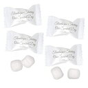 EFfBO o^[~g LfBobO ~gLfB[ 100  14 IX (396 g) ̃VFAɊ QXĝ p[eB[̋LOi 50 NLO v uC_  ʂȋ@ Gift Boutique Wedding Butter Mints Candy B