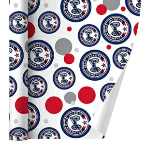GRAPHICS & MORE NHL Columbus Blue Jackets Logo Gift Wrap Wrapping Paper Roll
