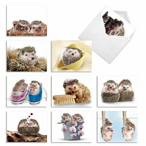 The Best Card Company - 10 Wildlife Thank You Greeting Cards w/Envelopes, Cute Animal Boxed Notes Stationery - Cards from the Hedge M6541TYG