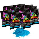 z[[pE_[gD[u[e70O10pbN Chameleon Colors Holi Powder True Blue 10 Pack of 70 Grams Each