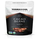 Terrasoul Superfoods Raw Organic Criollo Cacao BeansA1|h Terrasoul Superfoods Raw Organic Criollo Cacao Beans, 1 Pound