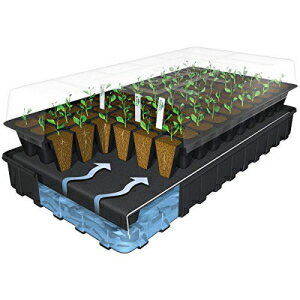 Glomarket㤨Burpee ư奷 ƥ å ѥ ޥå Burpee Self Watering Seed Starting Kit Replacement Water MatפβǤʤ2,422ߤˤʤޤ